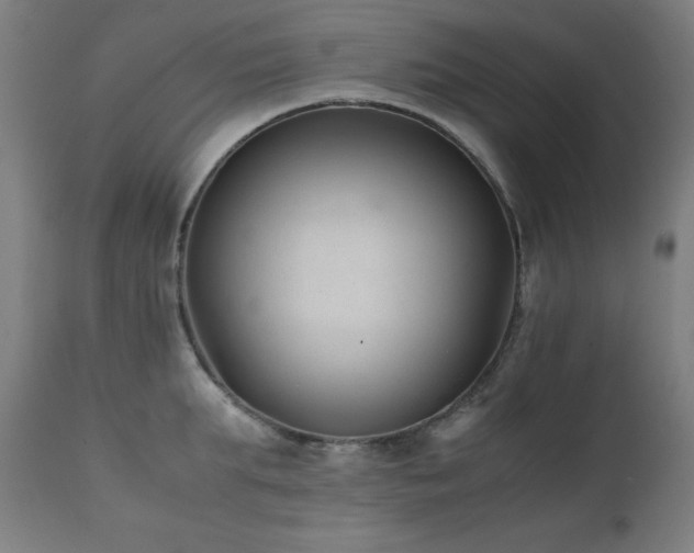 X0000112050903200908041147