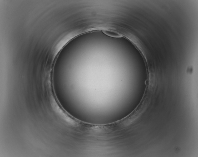 X0000112050906200908041147