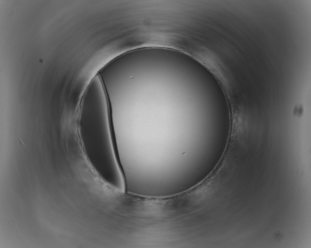 X0000112050908200908041147