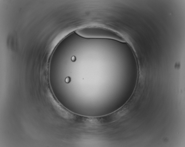 X0000112050911200908041147