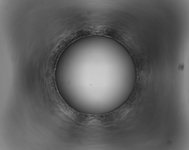 X0000112050913200908041146