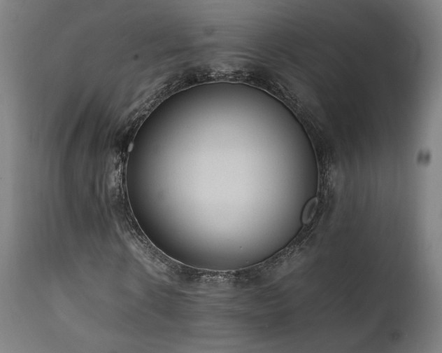 X0000112050914200908041146