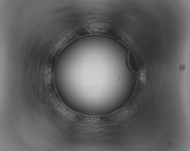 X0000112050915200908041146