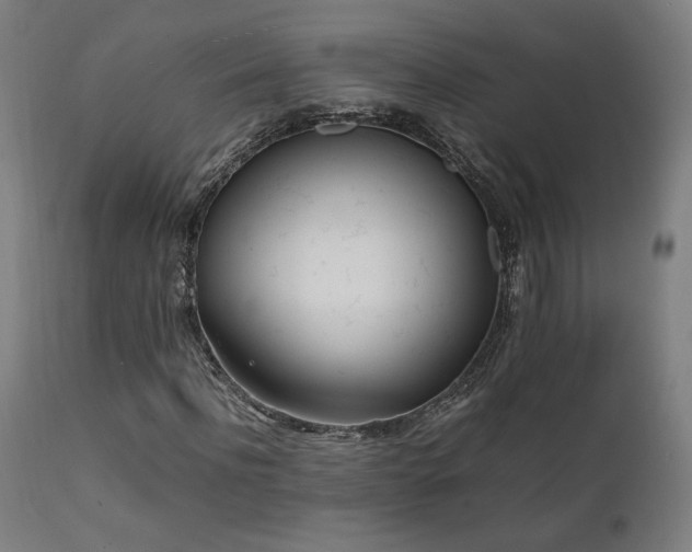 X0000112050916200908041146