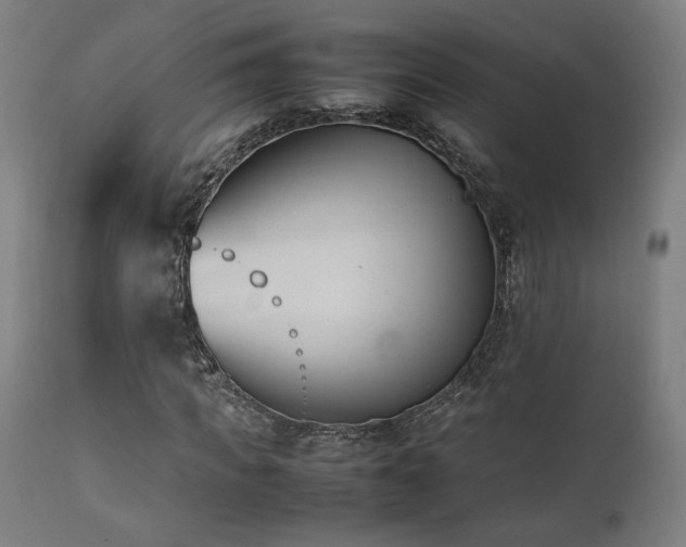 X0000112050917200908041146