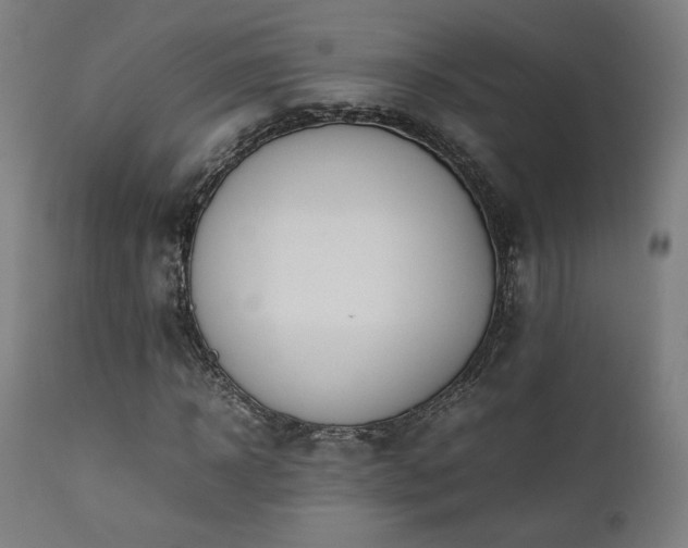 X0000112050918200908041147