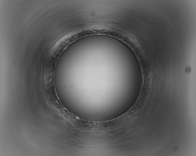 X0000112050920200908041147