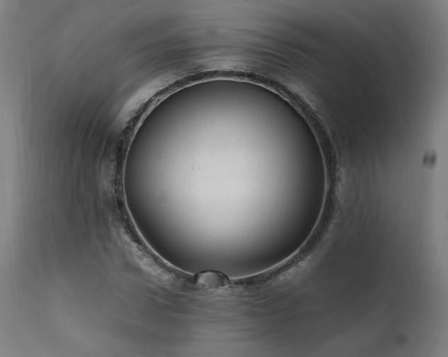 X0000112050922200908041147