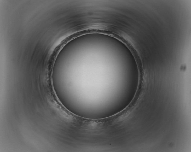 X0000112050923200908041147