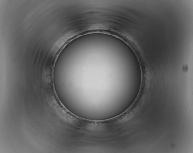 X0000112050929200908041147