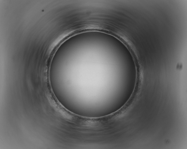 X0000112050933200908041147