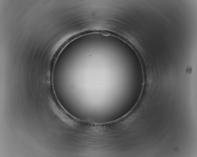 X0000112050934200908041147