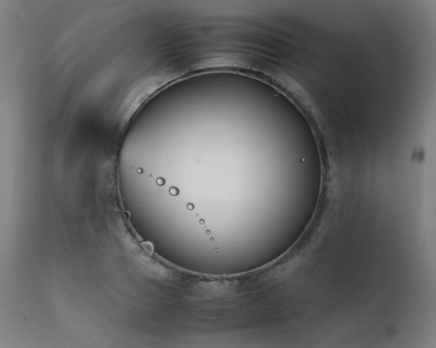 X0000112050937200908041147