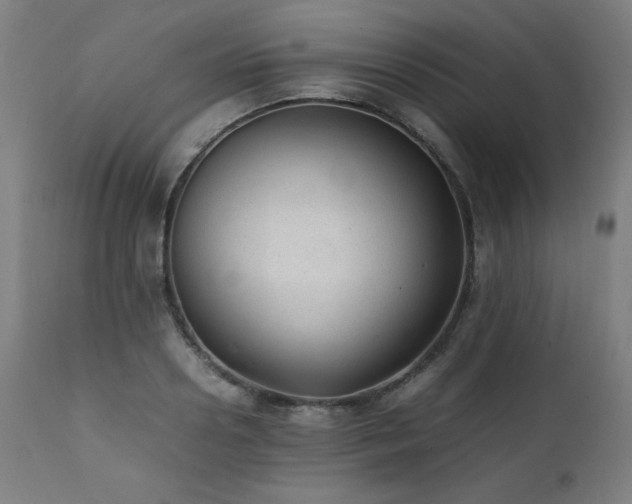 X0000112050938200908041147