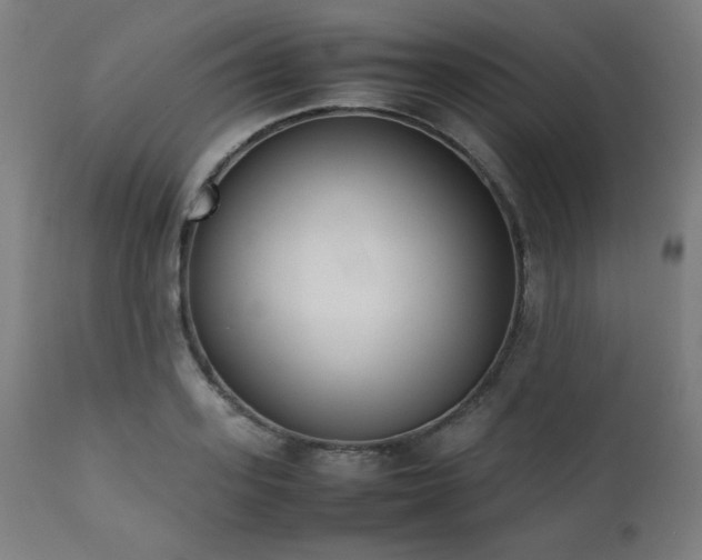 X0000112050939200908041147