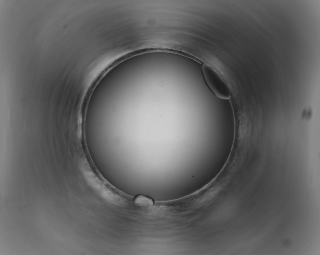 X0000112050940200908041147