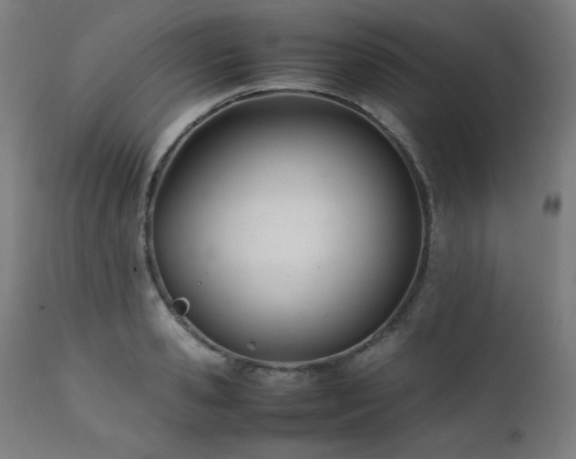 X0000112050941200908041147