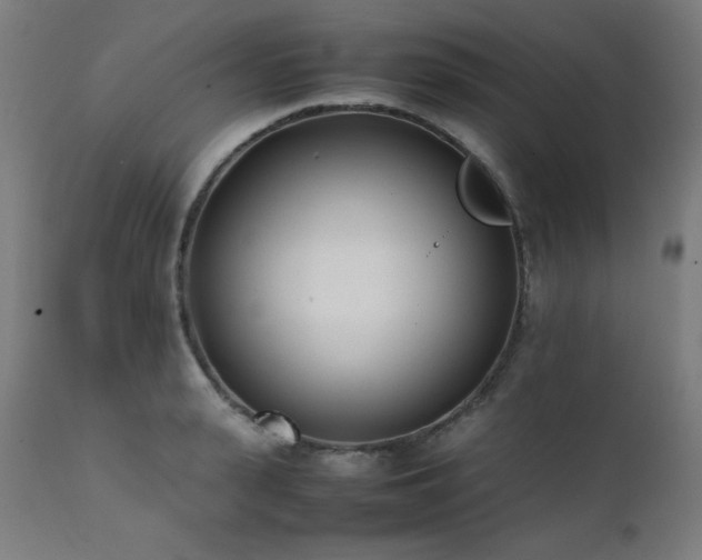 X0000112050943200908041147