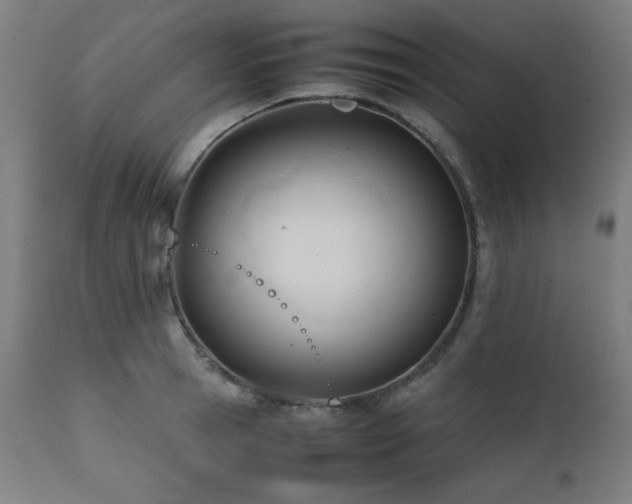 X0000112050945200908041147