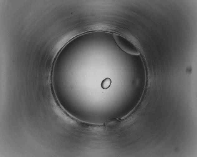 X0000112050946200908041147