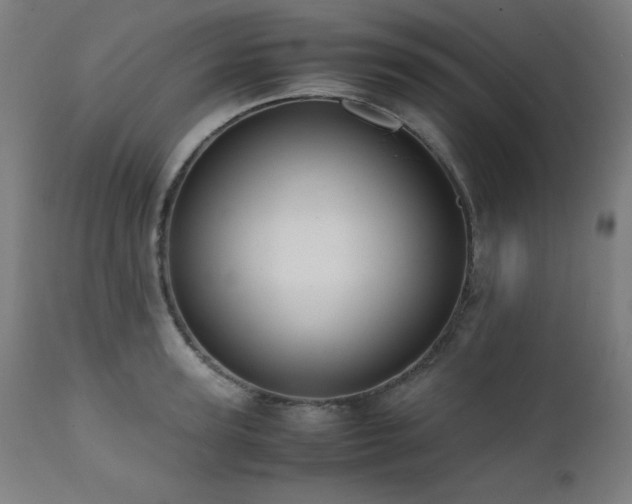 X0000112050947200908041147