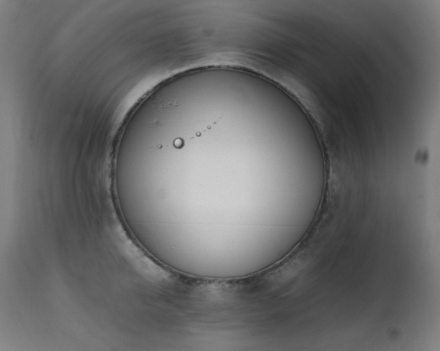 X0000112050950200908041147