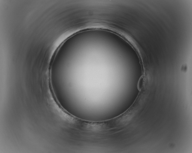 X0000112050951200908041147
