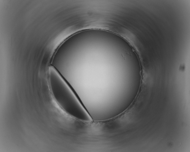 X0000112050952200908041147