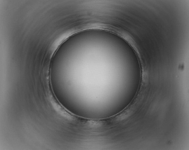 X0000112050954200908041147