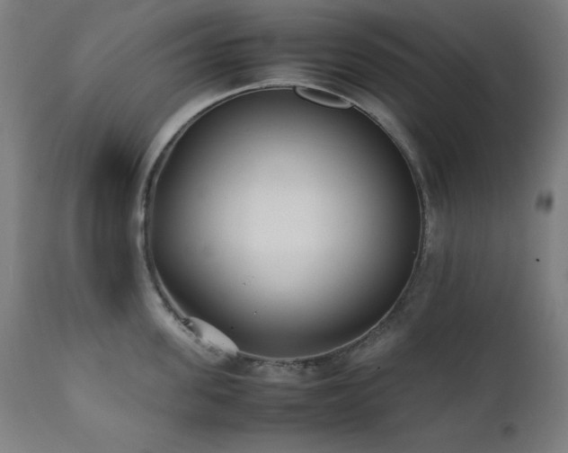 X0000112050955200908041147