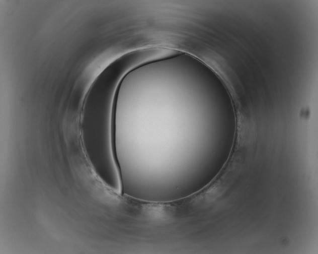 X0000112050956200908041147
