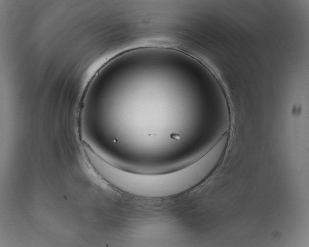 X0000112050960200908041147