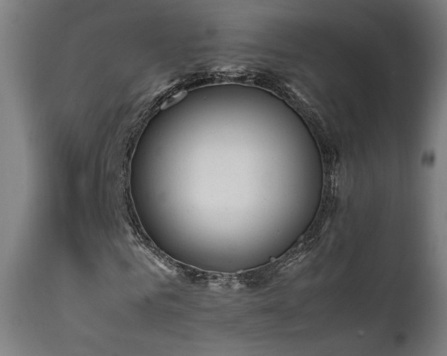 X0000112050961200908041146