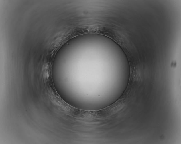 X0000112050962200908041146