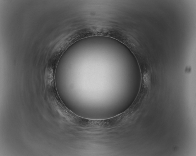 X0000112050963200908041146