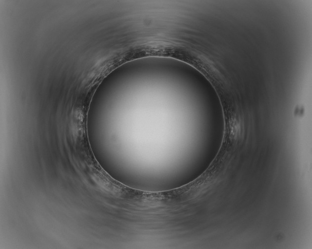 X0000112050964200908041146