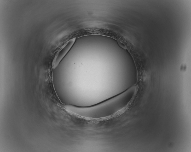X0000112050965200908041146