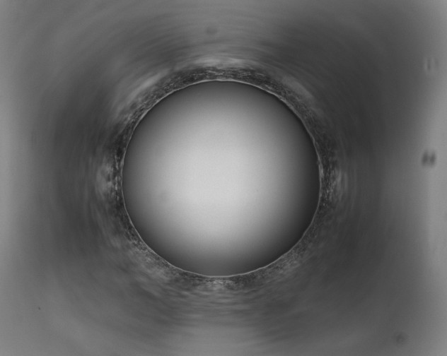 X0000112050966200908041146