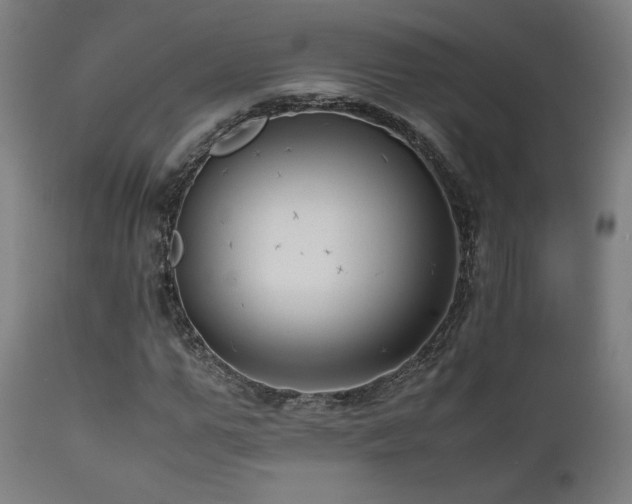 X0000112050967200908041146
