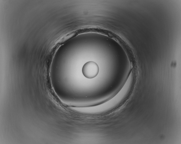 X0000112050969200908041146