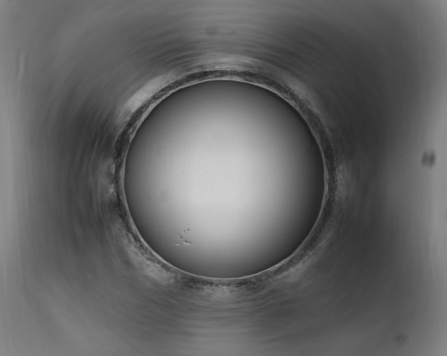 X0000112050970200908041146