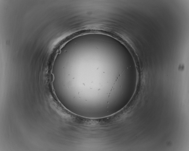 X0000112050971200908041146