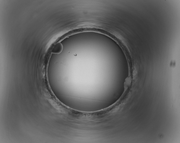 X0000112050973200908041146