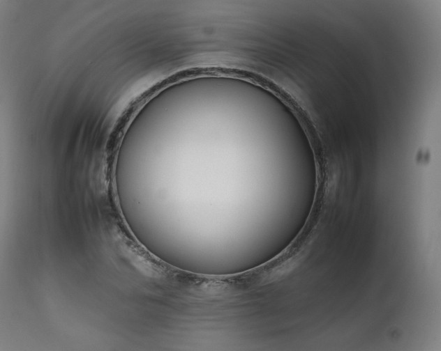 X0000112050974200908041146