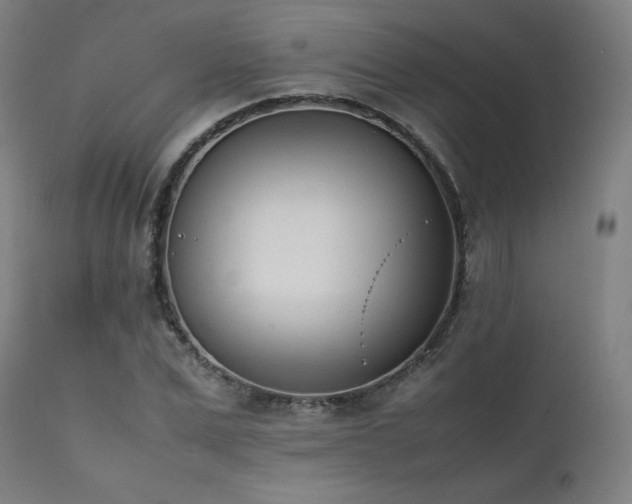 X0000112050975200908041146