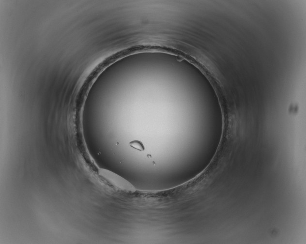 X0000112050976200908041146