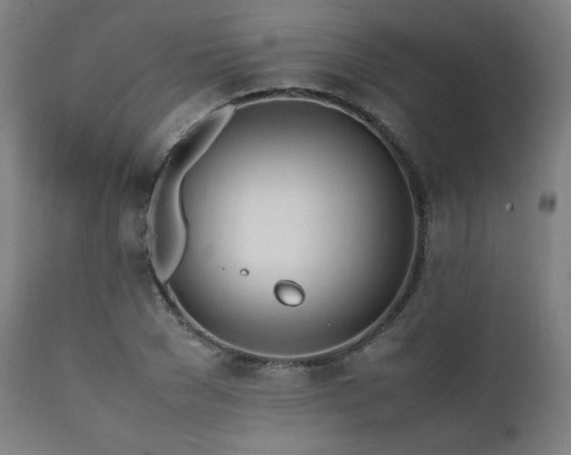 X0000112050977200908041146