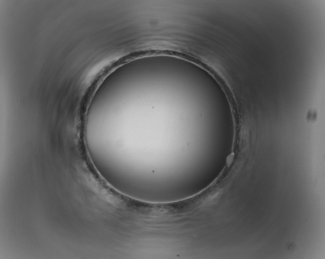 X0000112050979200908041146