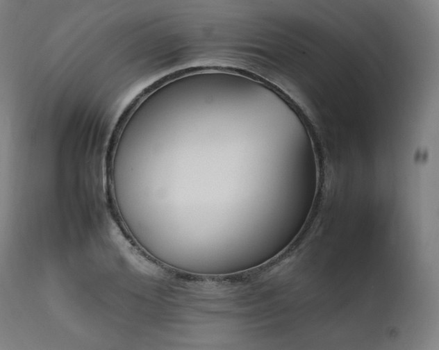 X0000112050980200908041146