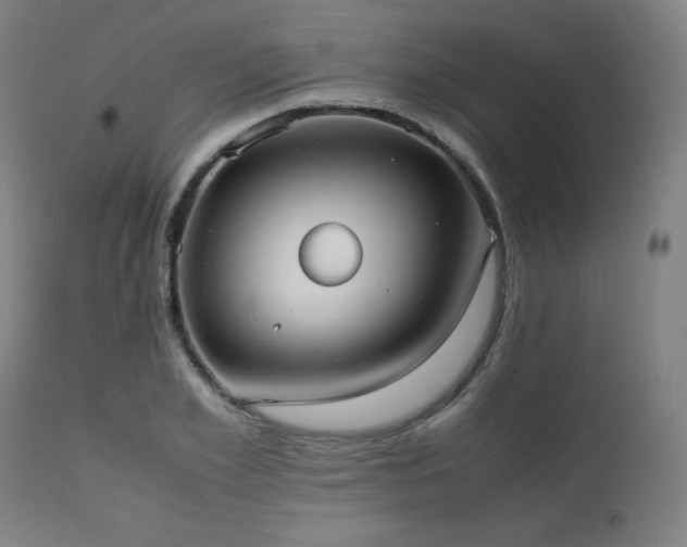 X0000112050981200908041146